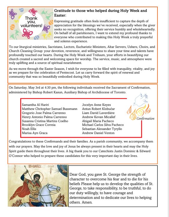 Divine Mercy Insert2.jpg